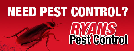pest control banner ad small
