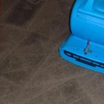 ryans water damaged carpet cleaning